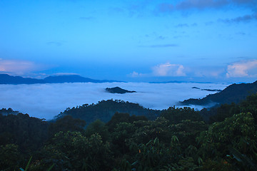 Image showing sea of fog with forests as foreground