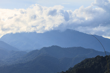 Image showing green mountains and forest on top veiw