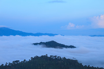 Image showing sea of fog with forests as foreground