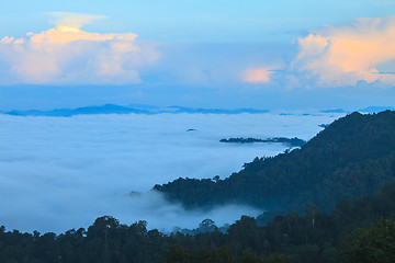 Image showing sea of fog with forests as foreground