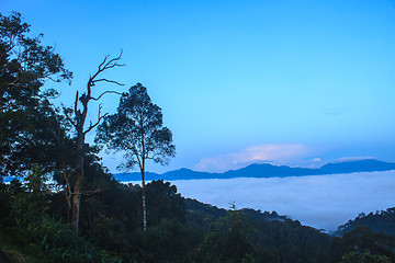 Image showing sea of fog with forests as foreground