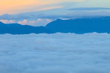 Image showing sea of fog with forests as foreground