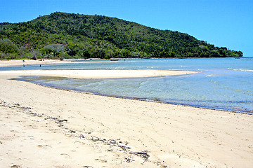 Image showing nosy be  beach seaweed in indian ocean madagascar  people   boat