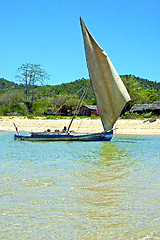 Image showing pirogue beach seaweed   nosy be       sky and rock