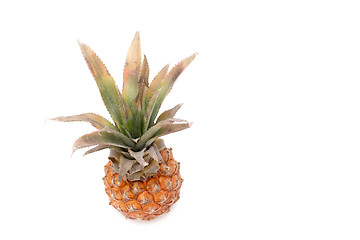 Image showing fresh pineapple on white background