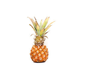 Image showing fresh pineapple on white background