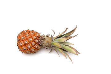 Image showing fresh pineapple on white background