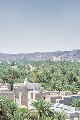 Image showing View from fort Nizwa