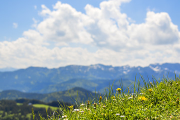 Image showing Meadow with alps background