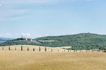 Image showing Beautiful landscape Tuscany