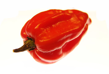 Image showing Red pepper