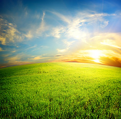 Image showing Field under clouds