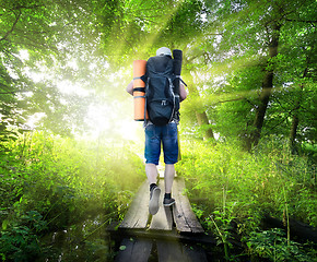 Image showing Traveller on bridge