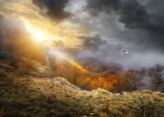 Image showing Birds and clouds