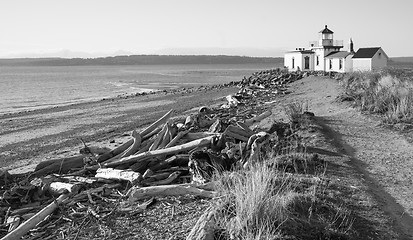 Image showing Driftwood Beach West Point Lighthouse Cape Jetty Discovery Park 