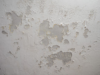 Image showing Damp moisture