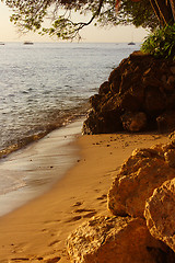 Image showing Westcoast Barbados