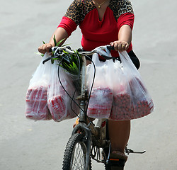 Image showing ASIA THAILAND ISAN YASOTHON TRADITION