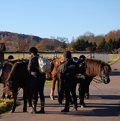 Image showing Go on horseback