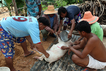 Image showing ASIA THAILAND ISAN AMNAT CHAROEN