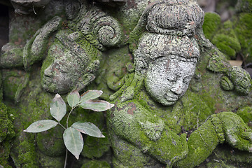 Image showing ASIA THAILAND CHIANG MAI WAT PHAN TAO