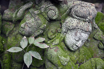 Image showing ASIA THAILAND CHIANG MAI WAT PHAN TAO