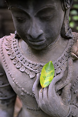 Image showing ASIA THAILAND CHIANG MAI WAT PHAN TAO