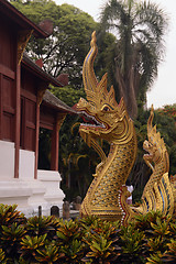 Image showing ASIA THAILAND CHIANG MAI WAT PHAN TAO