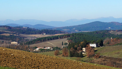 Image showing 
Wineyard in the winter 					