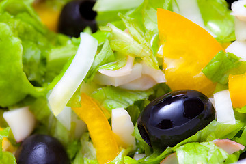 Image showing Assorted salad of green leaf lettuce with squid and black olives