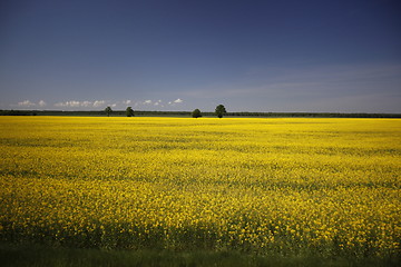 Image showing EUROPE LITHUANIA