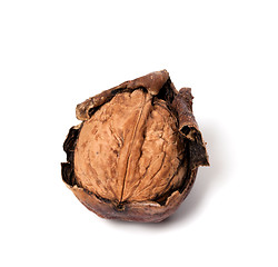 Image showing Crude walnut on white background