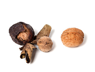 Image showing Three walnuts on white background