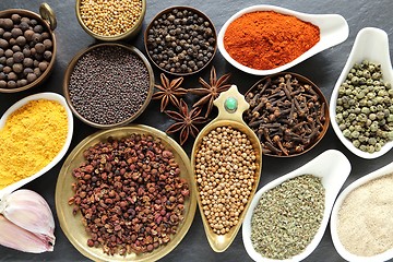 Image showing Spices