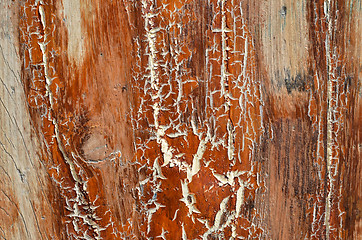 Image showing Cracked wooden surface