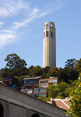 Image showing Coit Tower Hillside Neighborhood San Francisco California