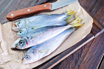 Image showing raw fish