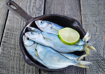 Image showing raw fish