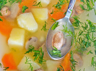 Image showing fresh mushroom soup