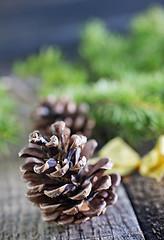 Image showing pinecones