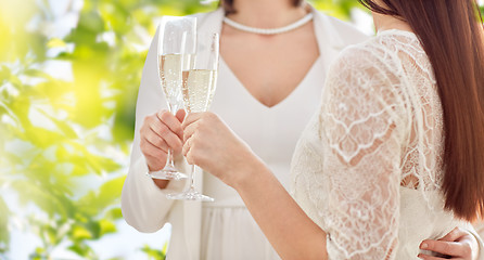 Image showing close up of lesbian couple with champagne glasses