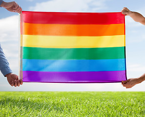 Image showing close up of male gay couple holding rainbow flag