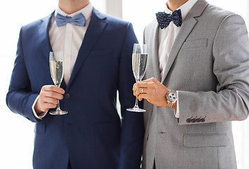 Image showing close up of male gay couple with champagne glasses