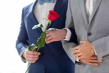 Image showing close up of happy male gay couple holding hands