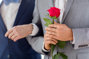 Image showing close up of happy male gay couple holding hands