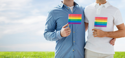 Image showing close up of male gay couple holding rainbow flags