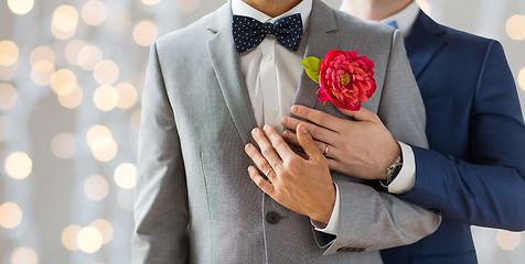 Image showing close up of happy male gay couple