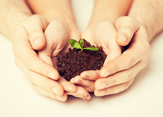 Image showing hands with green sprout and ground