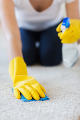 Image showing close up of woman with cloth cleaning carpet