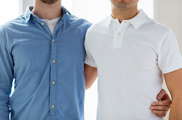 Image showing close up of happy male gay couple hugging